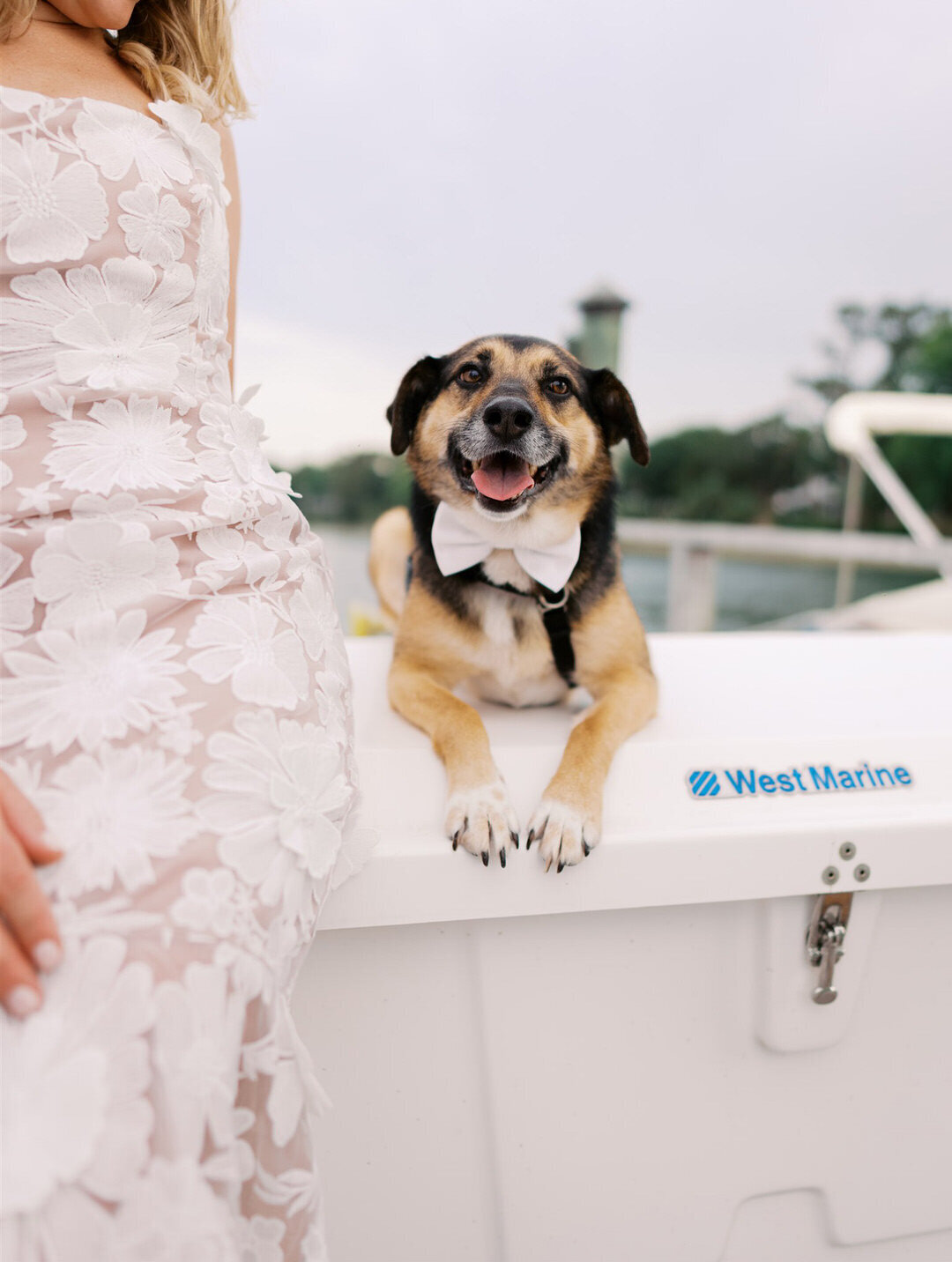 Welcome Party from Wedding at Palmetto Bluff South Carolina by GoBella.com @gobelladesign 15