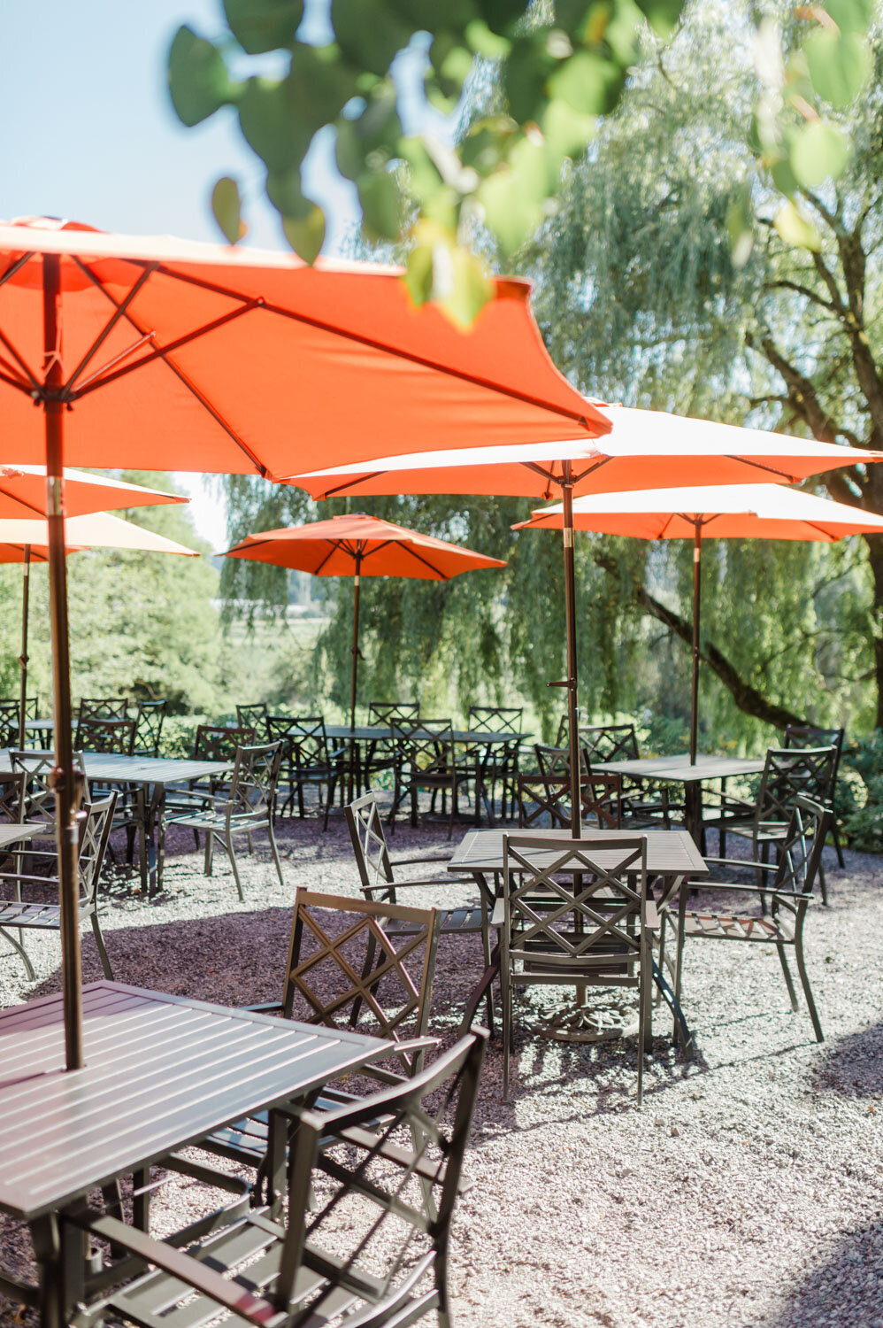 The terrace patio at the chateau lill