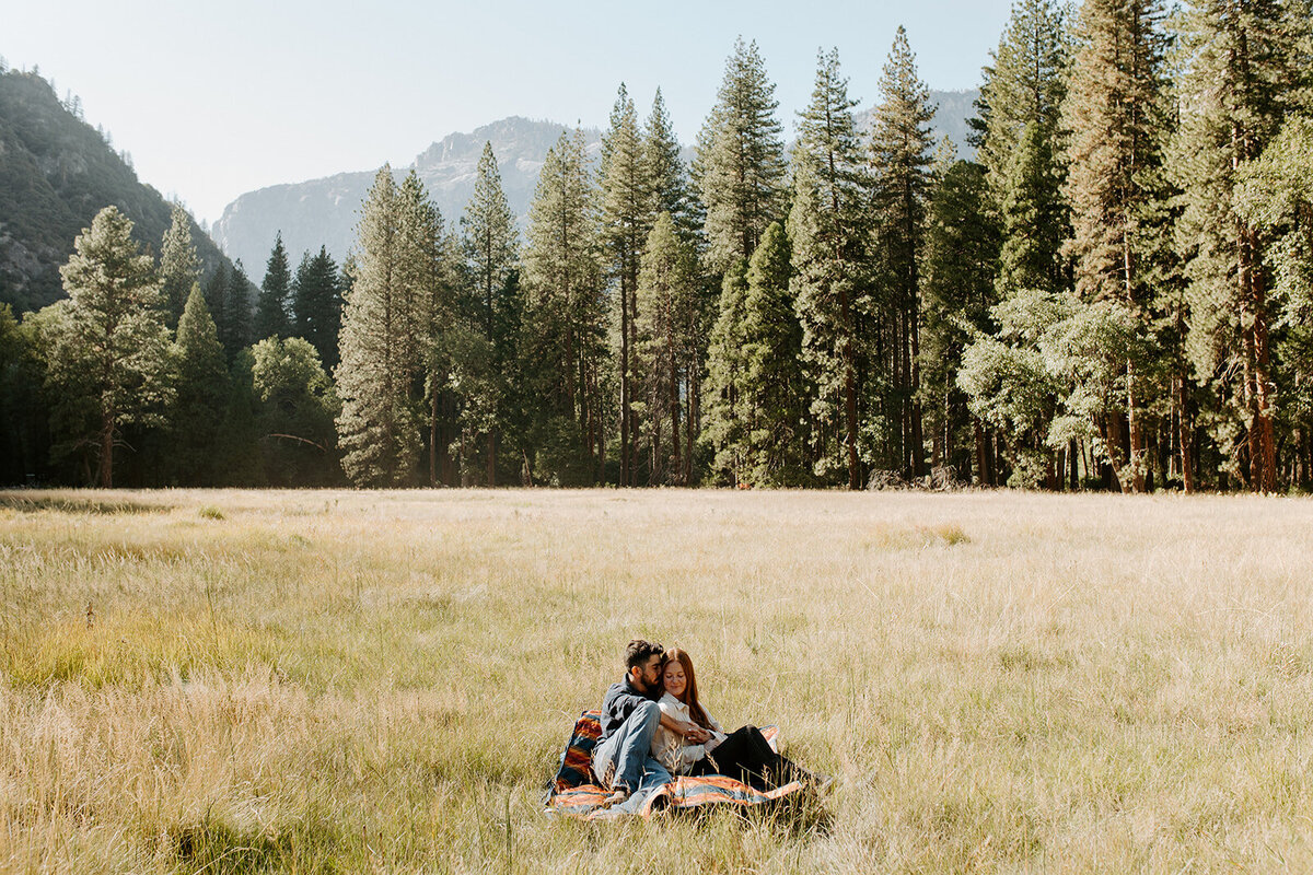 Engagement Session in Yosemites Meadow. 