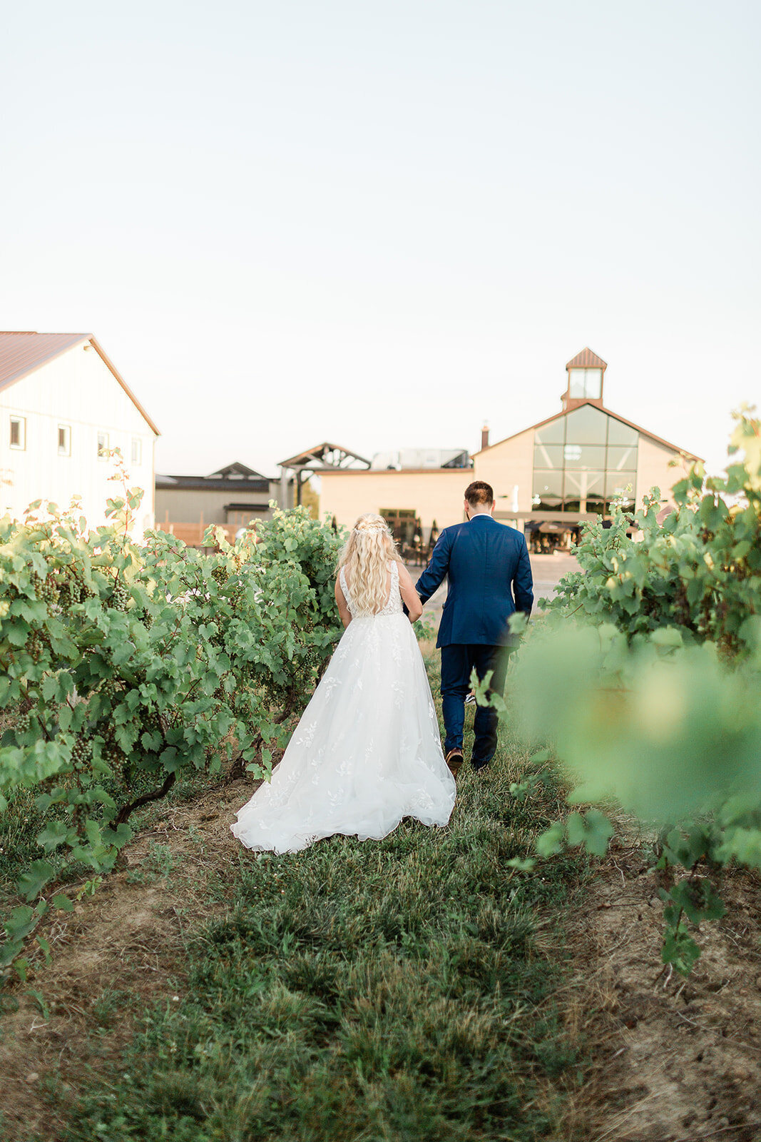 Vineyard wedding GTA