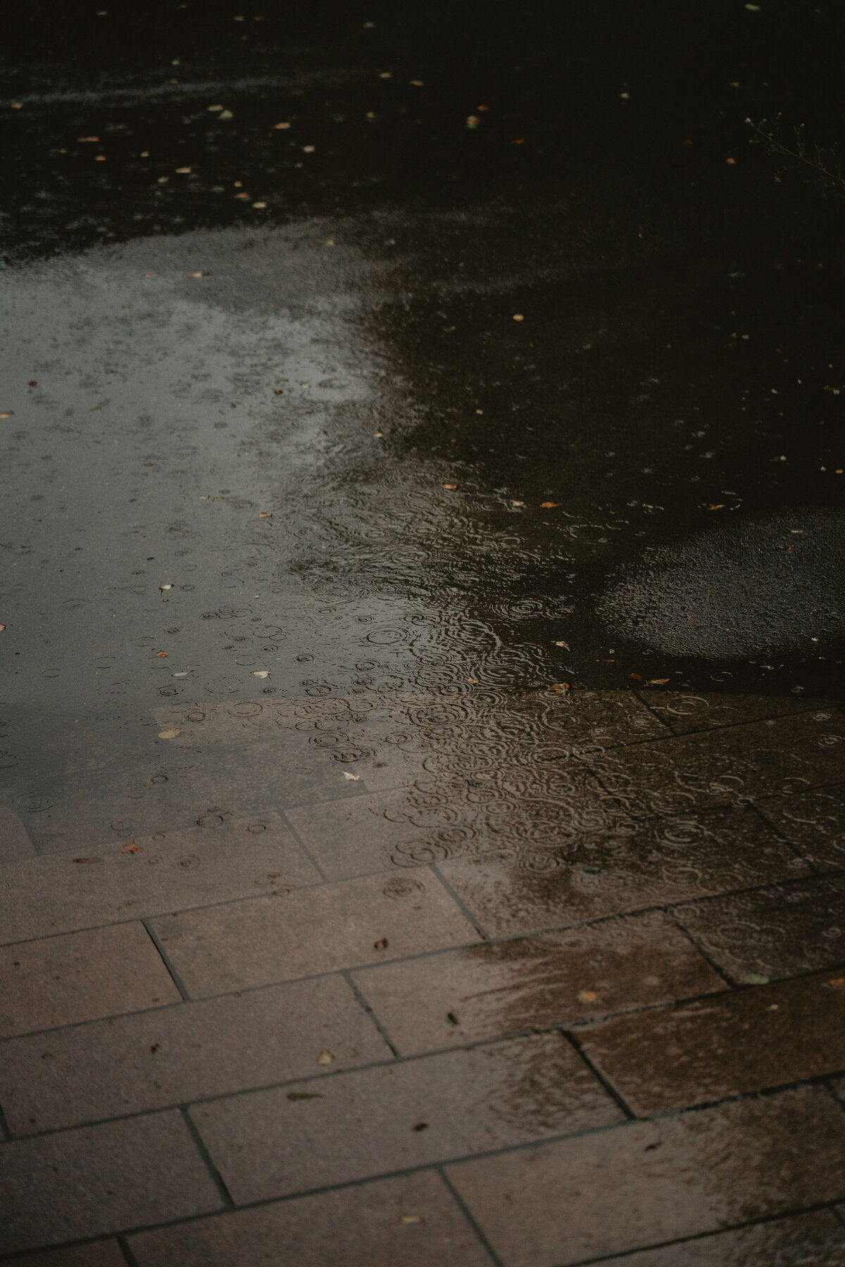 Hur ser ett bröllop ut i storm? Jenny och Sebastian trotsade alla varningar, höll sig inne på Villa Strömsfors och dagen blev precis så som den skulle vara.