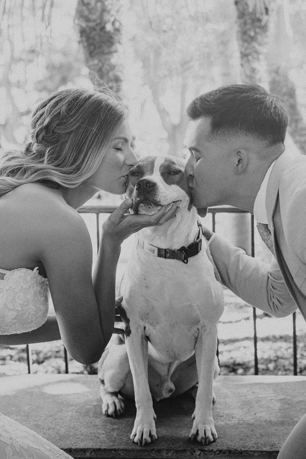 san-diego-wedding-photographer-videographer--0075