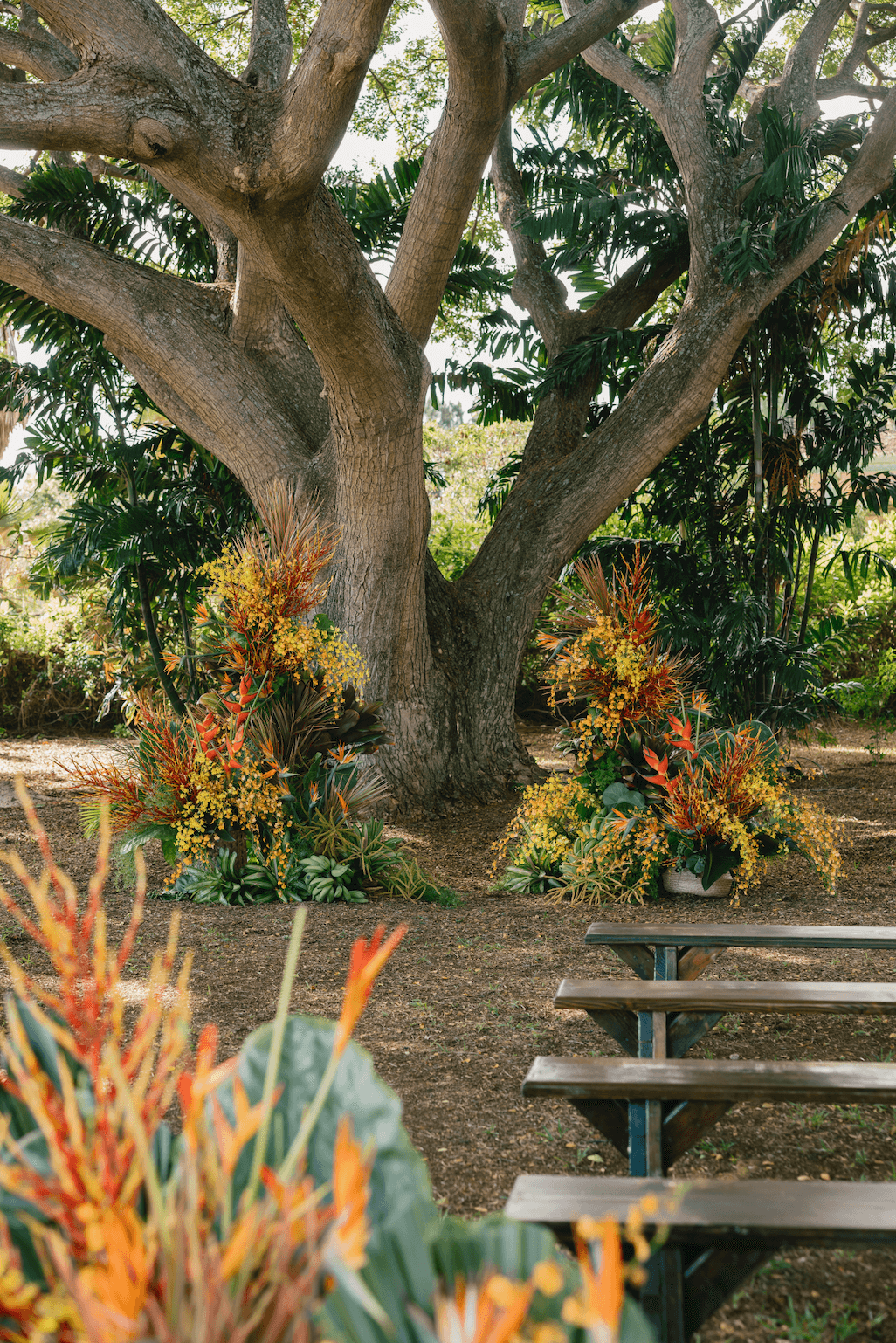 Screenshot 2025-11-20 at 8.24.54 AM