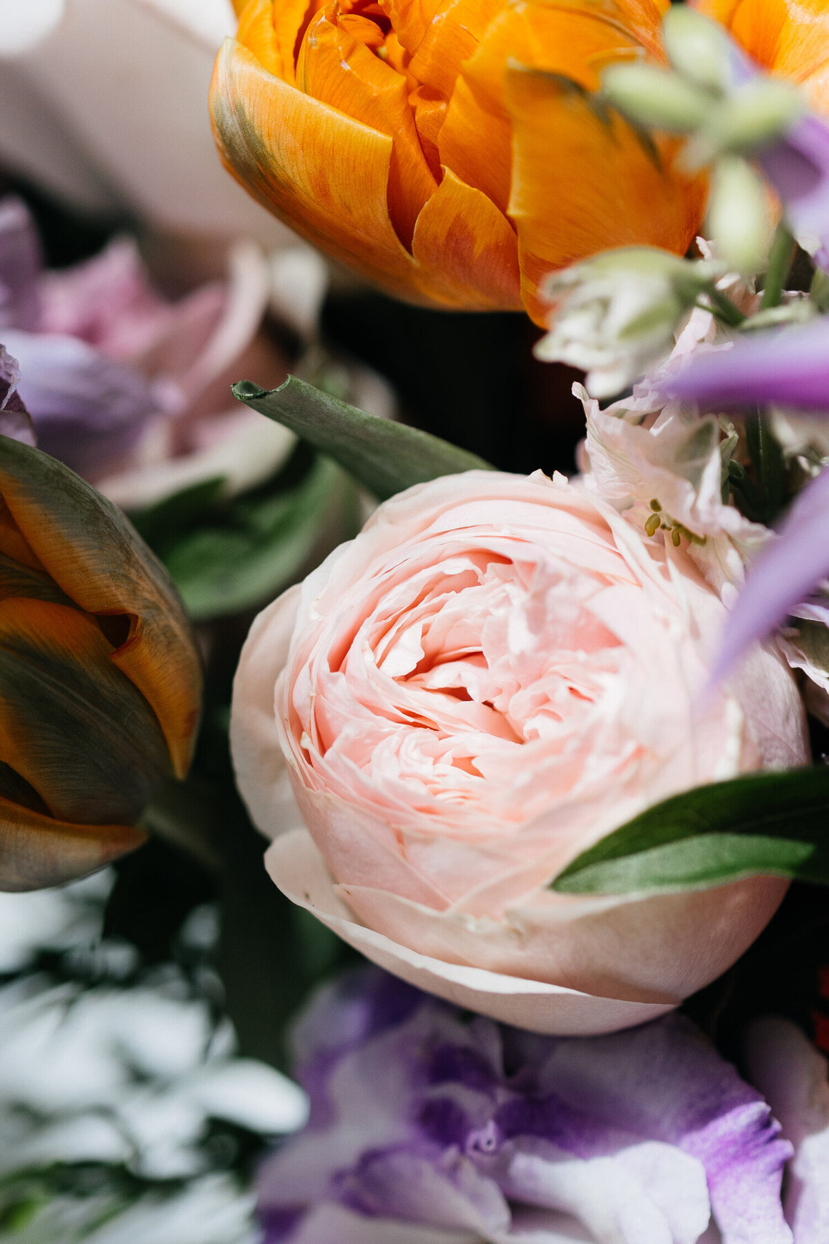 EleonoreGarat_WeddingPlanner(213)