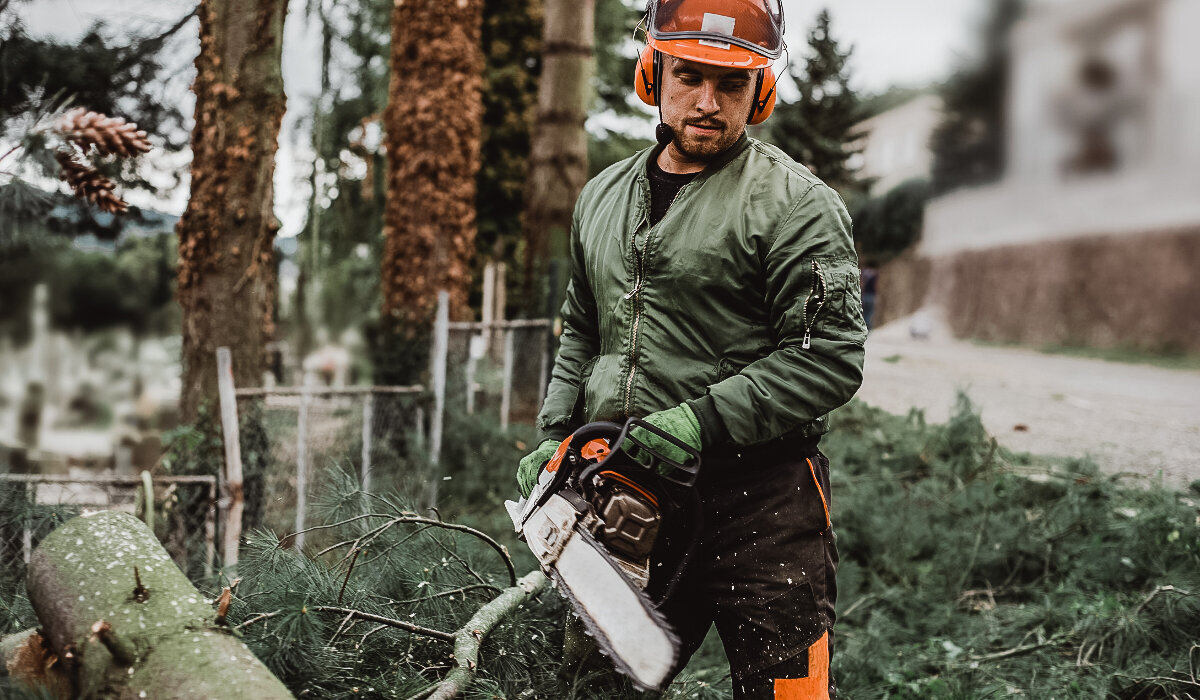Professional arborist in PPE trimming cutting tree limbs