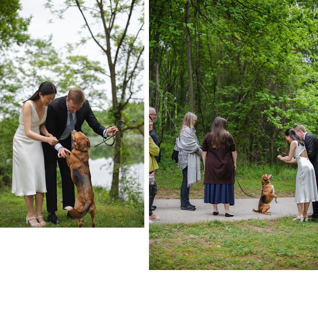 HowardCountyMarylandCourthouseWedding449318442_1000614148730543_1898479877338486365_n