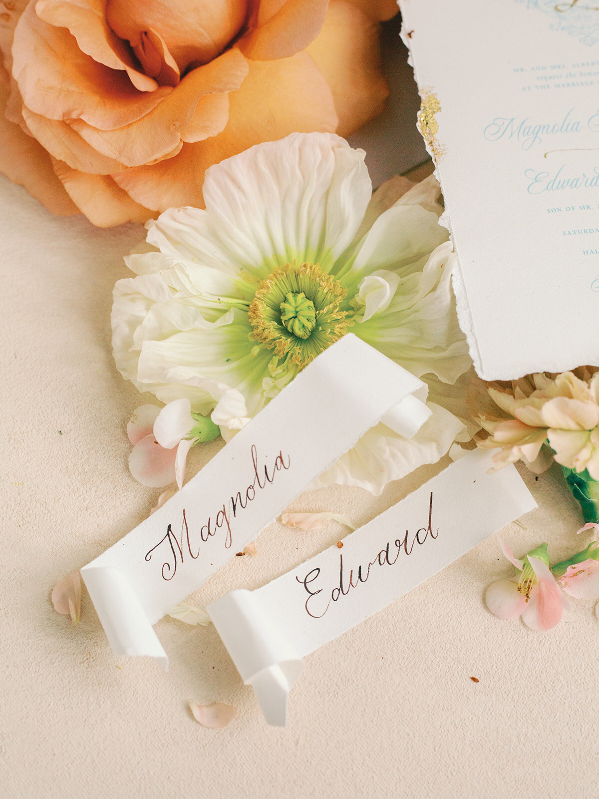 7633670E-3E40-4E6B-9129-735F33C993D5