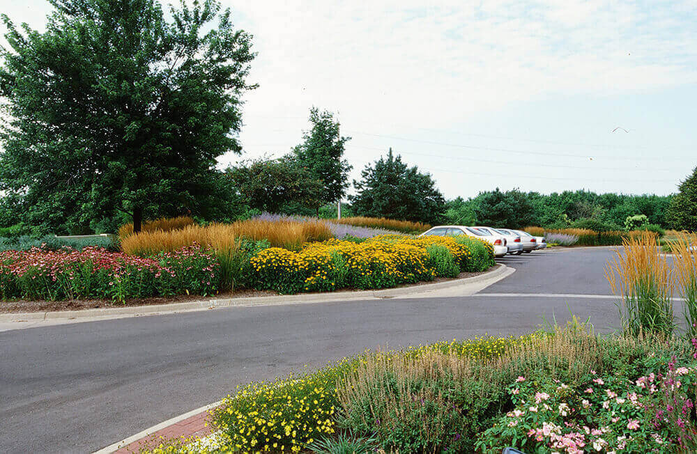 Commercial landscape company project in Kansas City