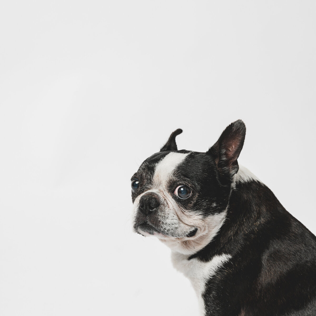 MiniAnnaPhotography2024-JeremiahVilla_Bosco9711srgb3000