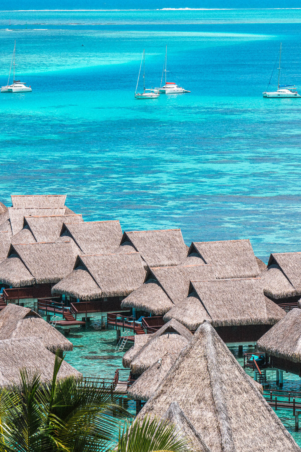SM-WarmTropics-02856