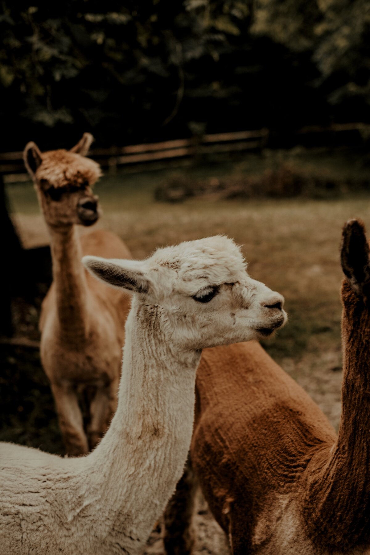 devon-divine-OY6hJz5TBwM-unsplash