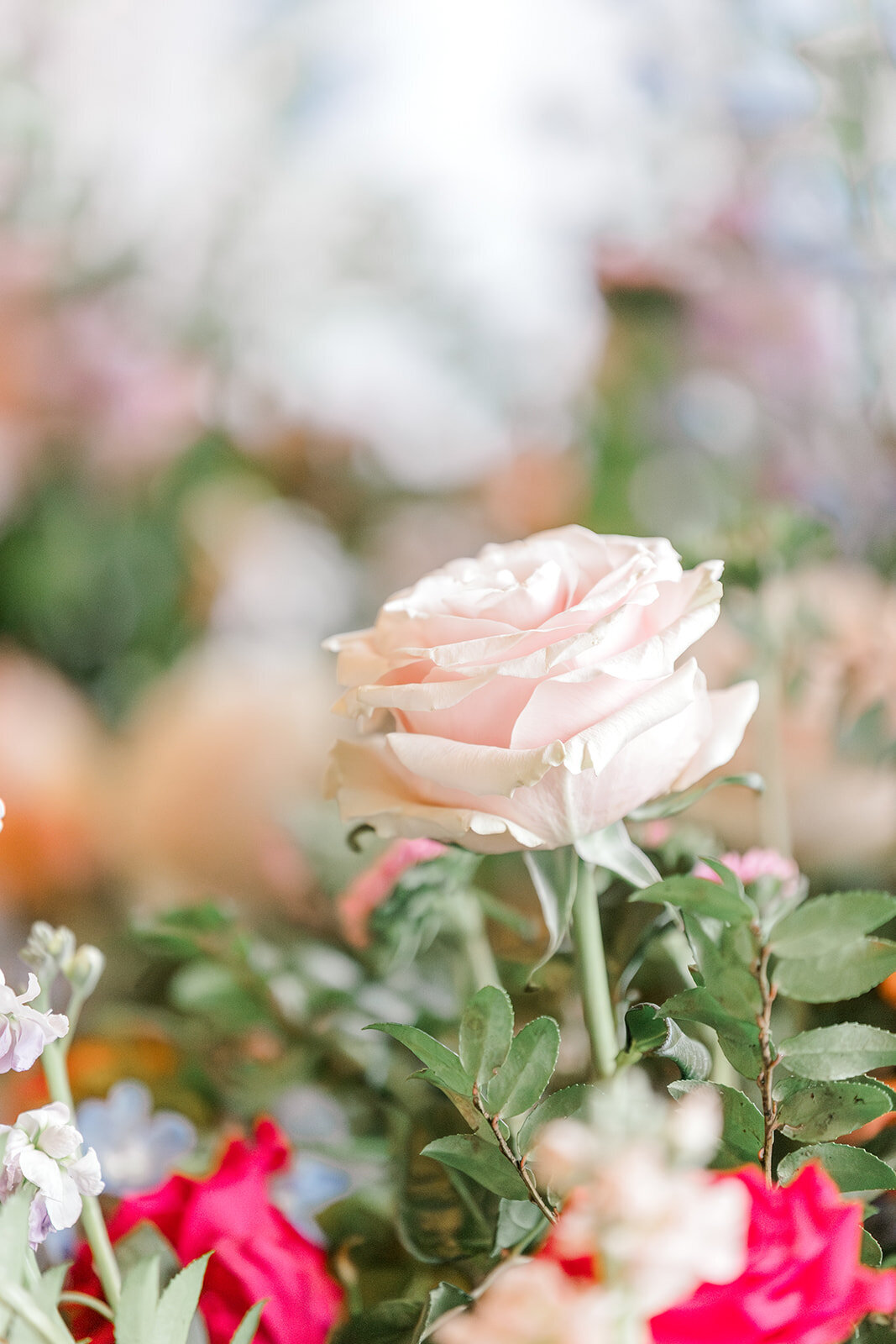 Forever Love Chicago Wedding Photographer-199