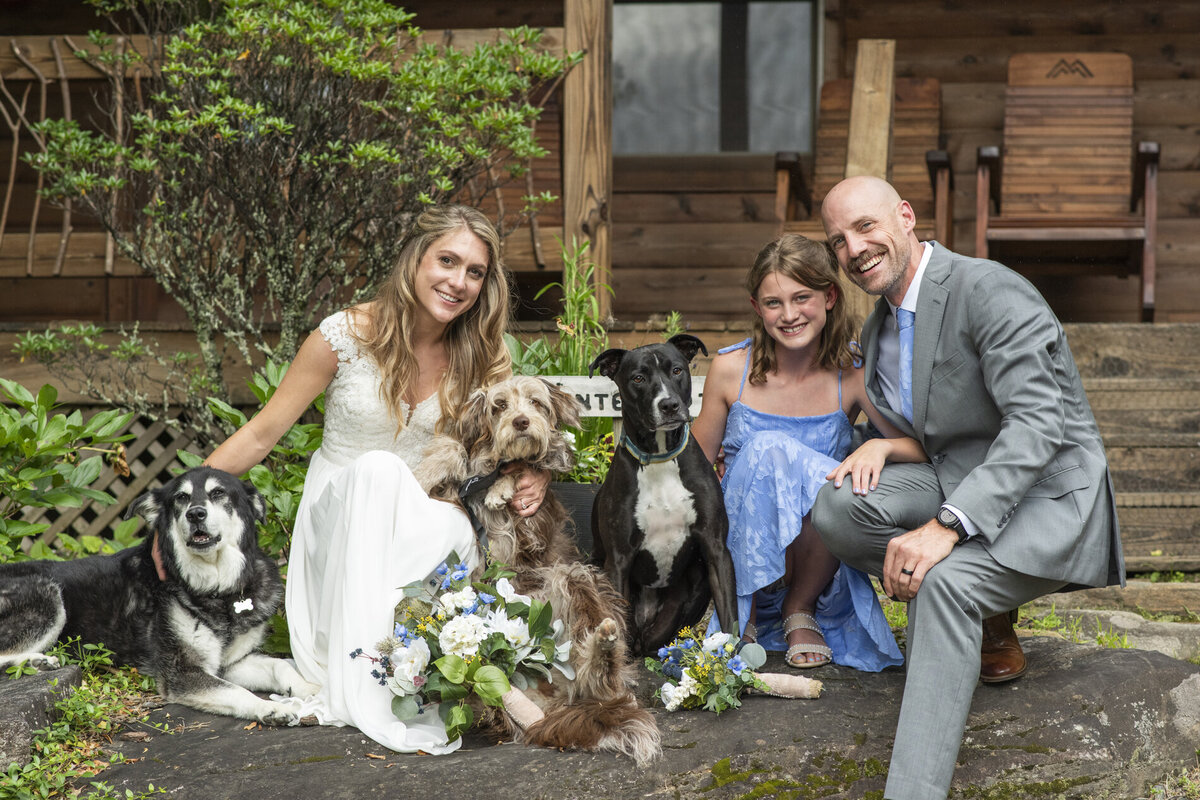 Wedding couple, daughter, and family dogs at Mount Mitchell Eco Retreat
