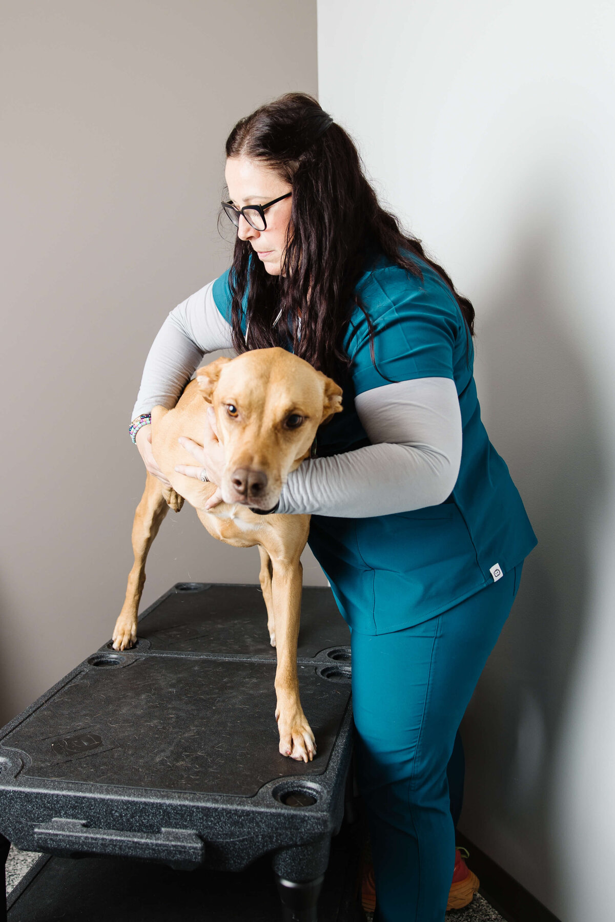 Veterinary-brand-photo-by-southern-idaho-commercial-brand-photographer-erin-moore