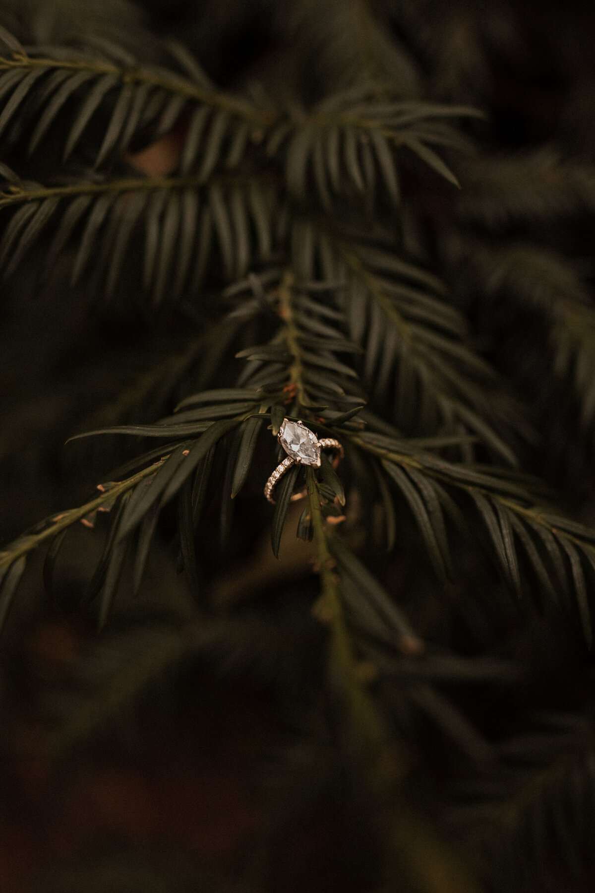 maryconnor-53