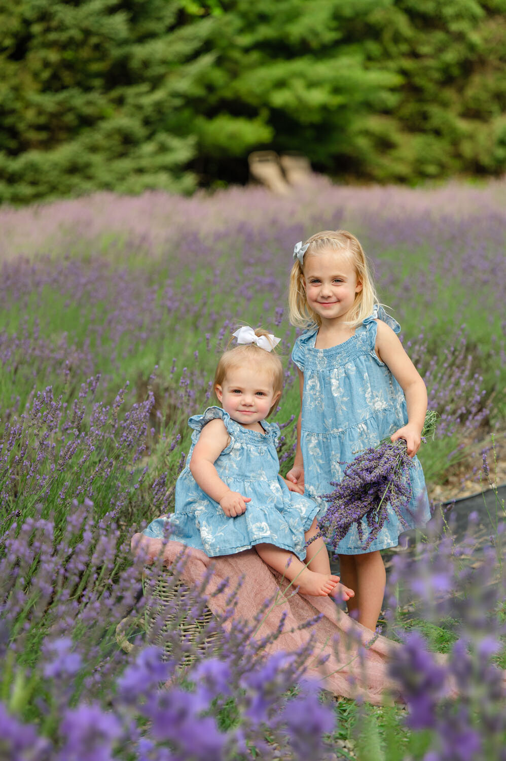 NJ slavender field photoshoot pleasant valley lavender farm-391