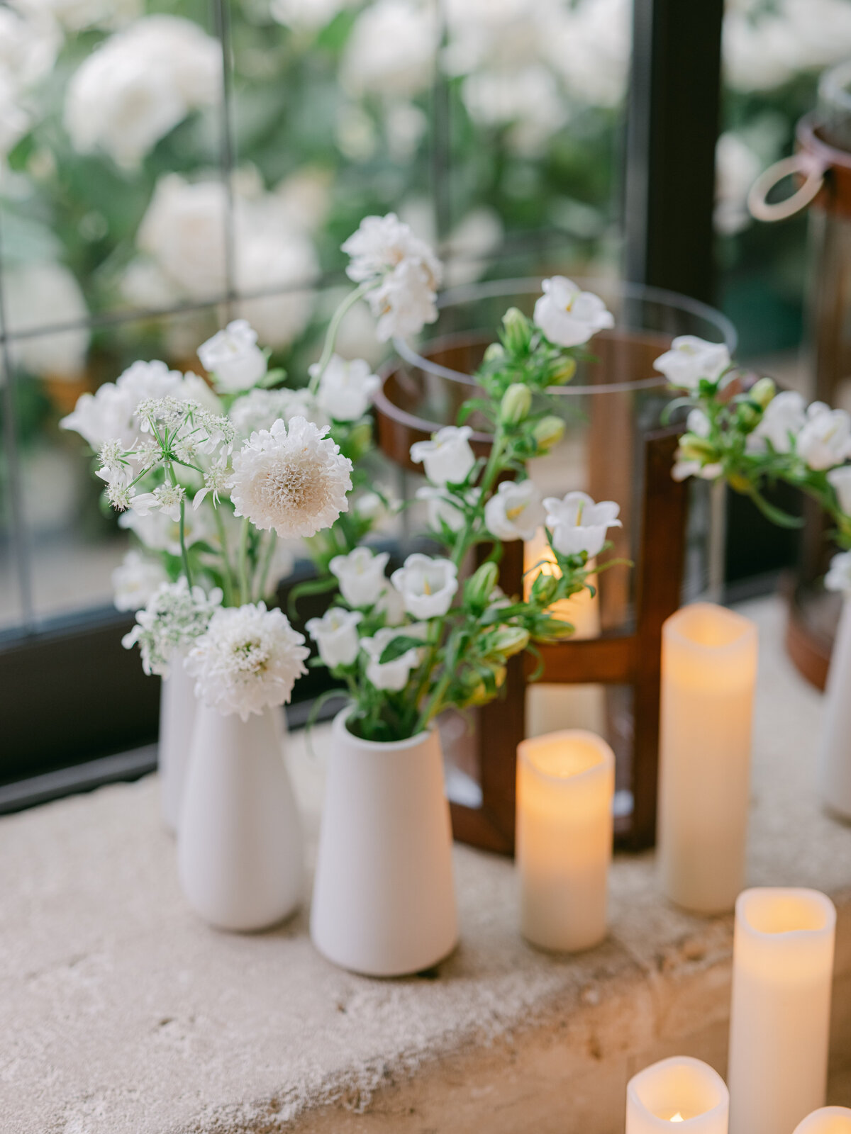 vanille-david-06-2024 (210) (1)