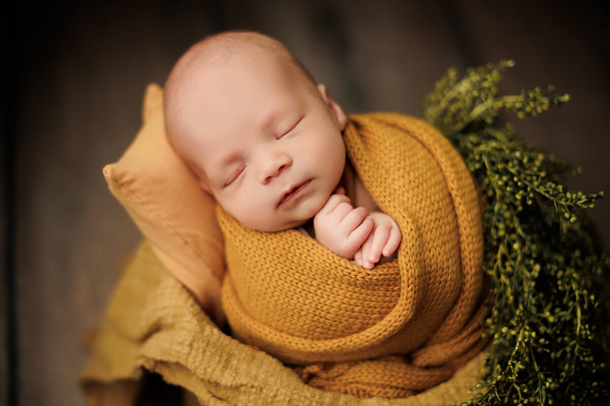 NWA newborn photographer, newborn portraits NW Arkansas newborn photographer near me, professional newborn photos