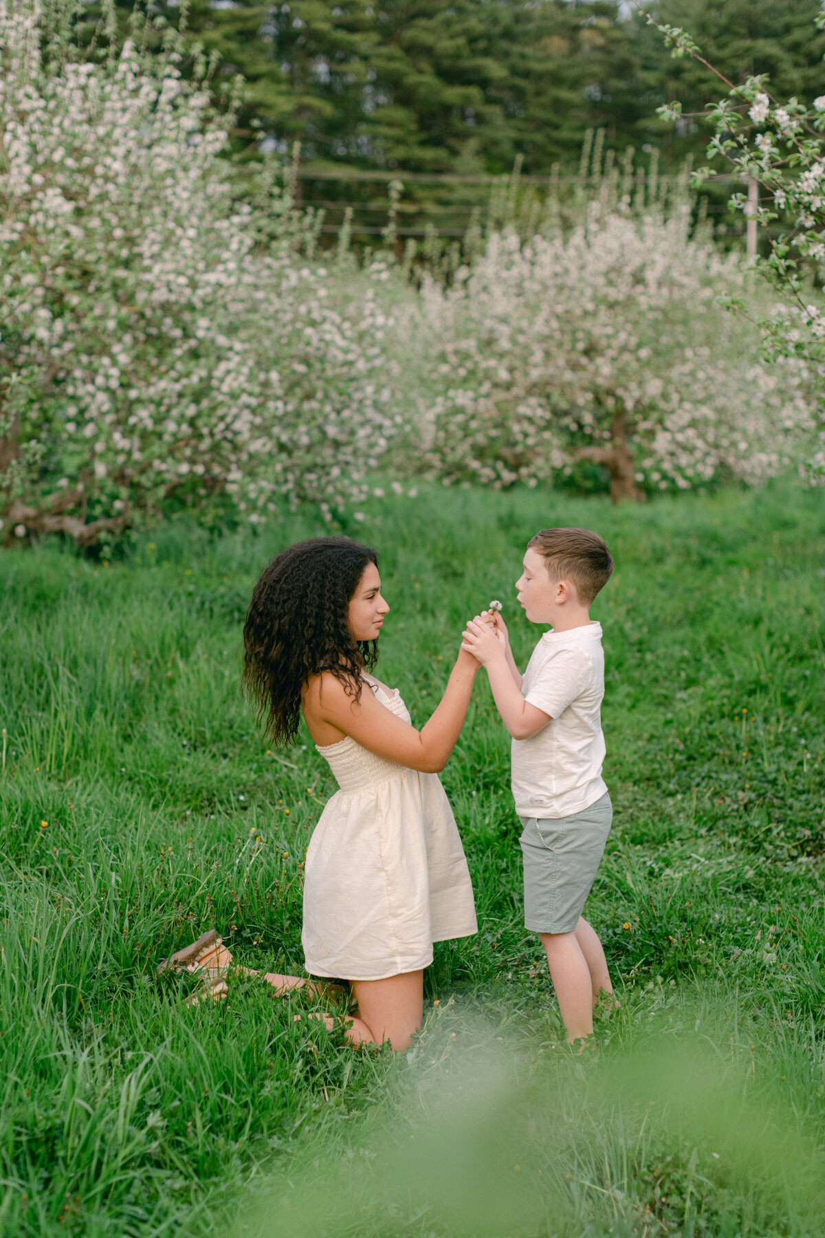 bella-luce-by-michelle-andrea-new-england-family-2024-6188