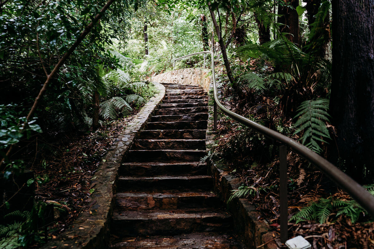 Margan_Photography_Australian_National_Botanic_Gardens-65