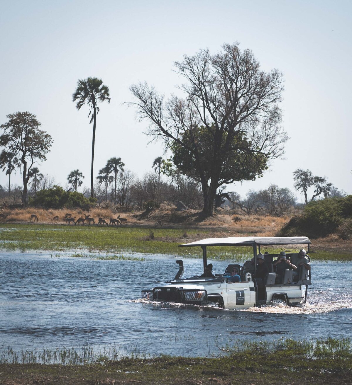 Adventure Safari in the Okavango Delta Botswana _ Sanctuary Retreats _ Botswana Safari Photography _ By Stephanie Vermillion