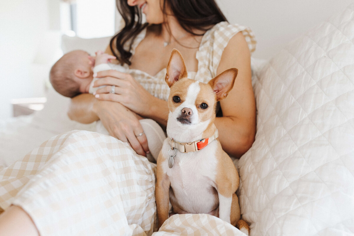 Mckinney-Newborn-Photographer (12)