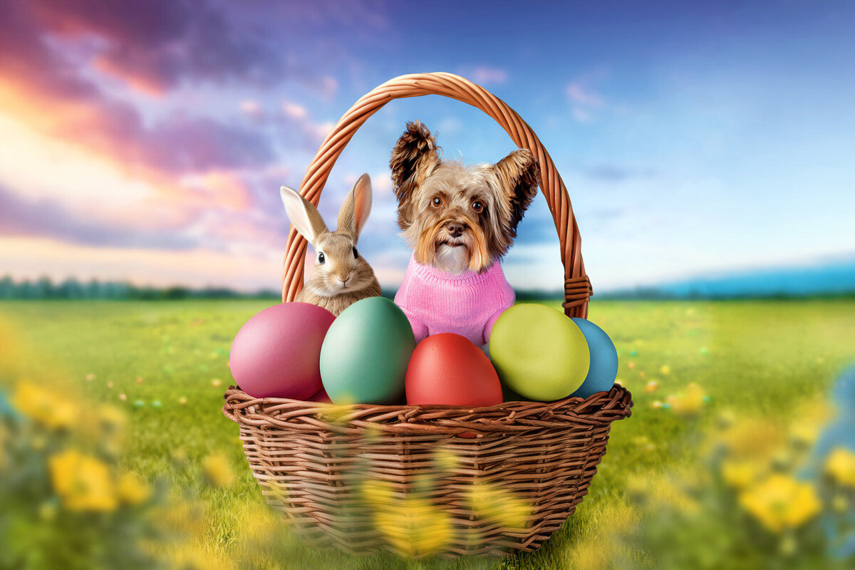 1-GiantEasterBasketDigitalBackdrop copy