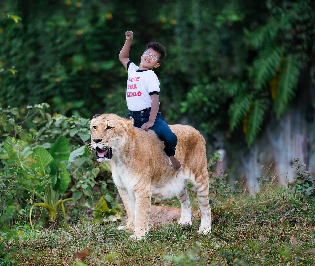 boy riding a liger wearing a vote for pedro shirt