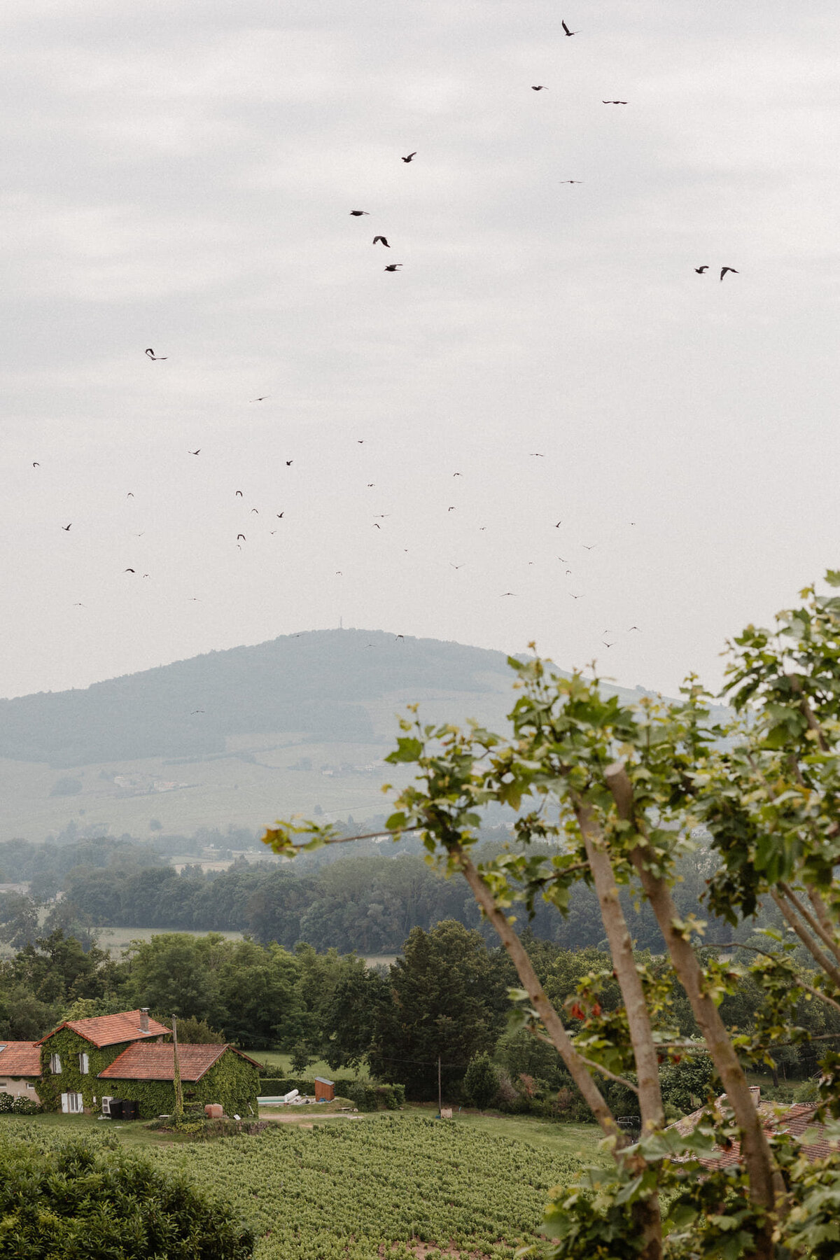 photographe-mariage-beaujolais-detail86