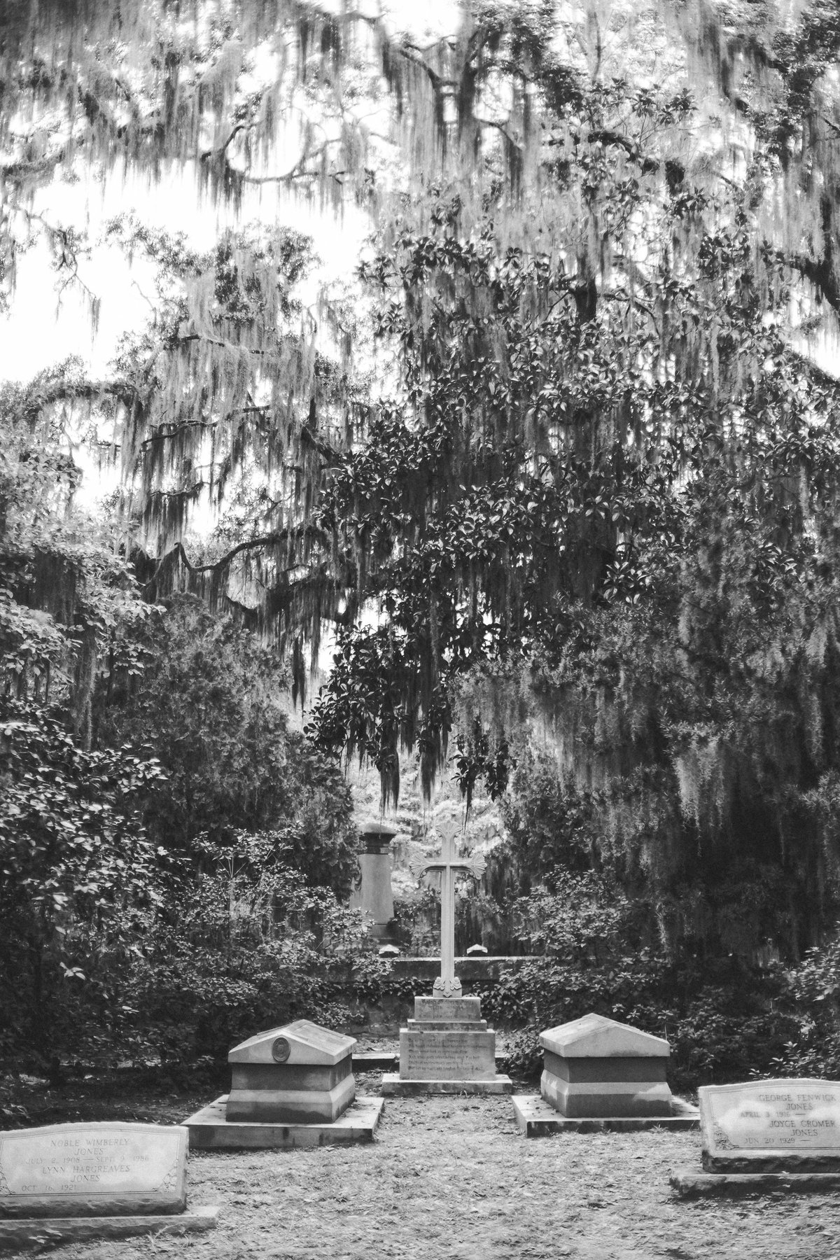 Savannah Georgia - DiBlasio Photo-2217