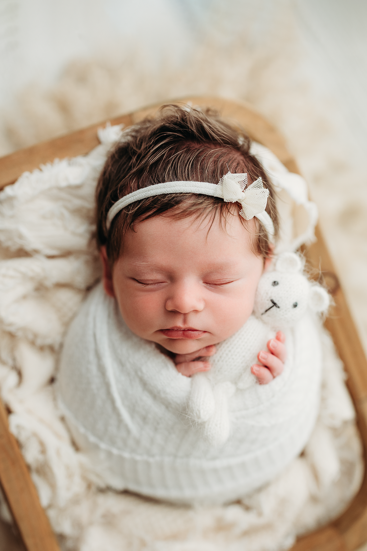 memphis newborn photography by jen howell 3