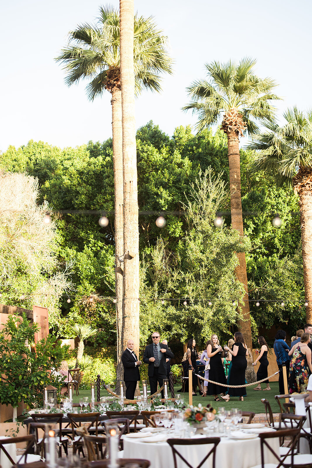 Royal Palms Wedding - Tara Nichole Photo - 2023 - Susanna and Kash-393