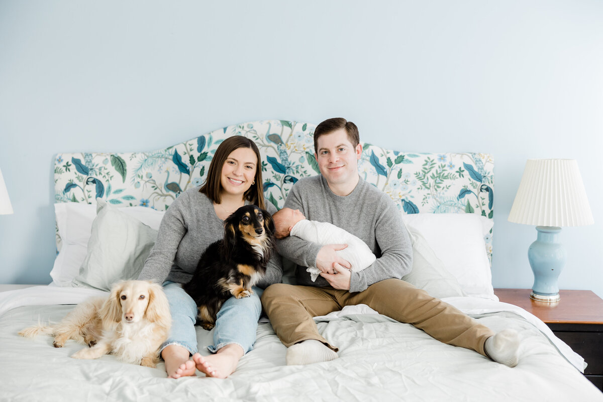 family photo on bed with  mom, dad, newborn and two dogs