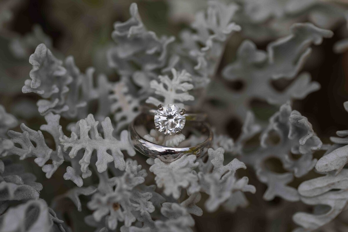 Bride and groom wedding ring displayed on flower
