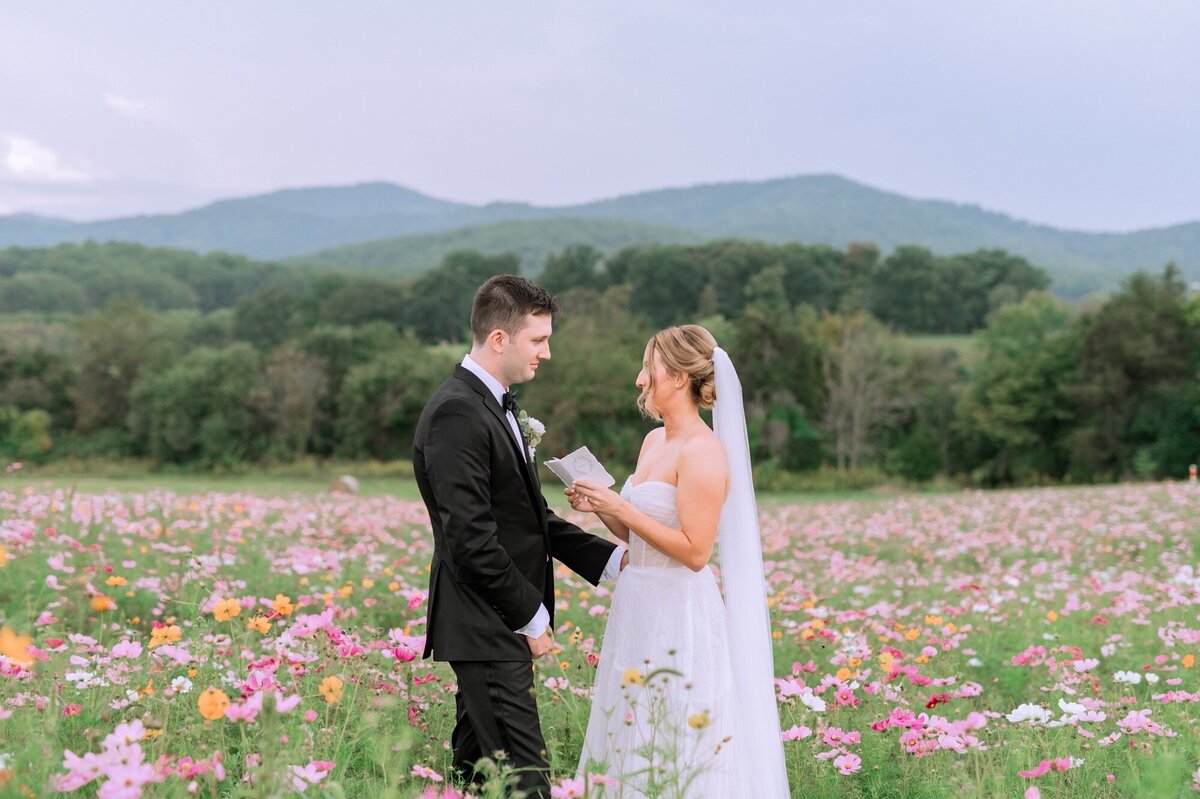 Pippin-Hill-Vineyard-Virginia-Wedding-Photographer-Heather-Dodge_0092