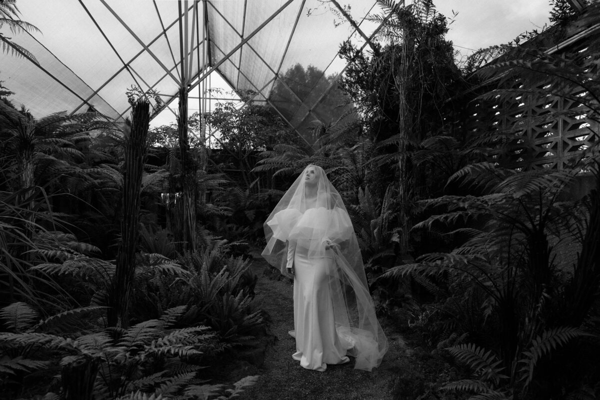 black and white bride -1