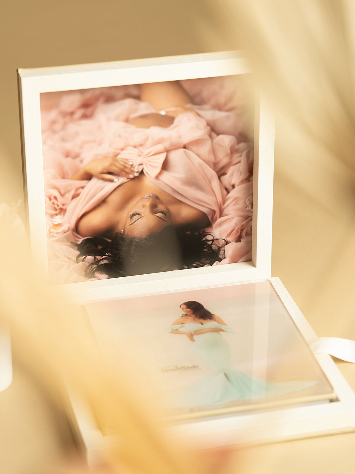 orlando-fl-maternity-milstone-newborn-photography-steinart-studio-luxury-canvas