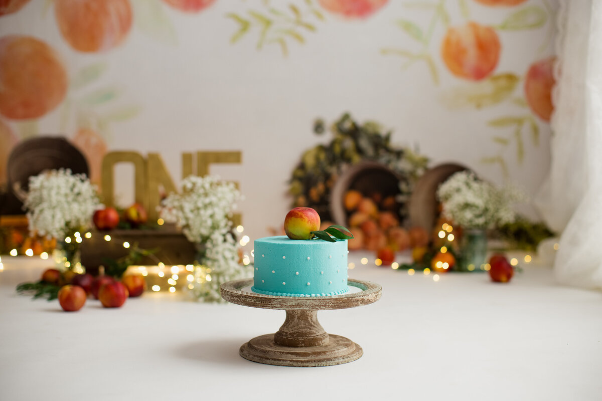 Huntsville AL Best Cake Smash First Birthday Photographer Studio Peaches