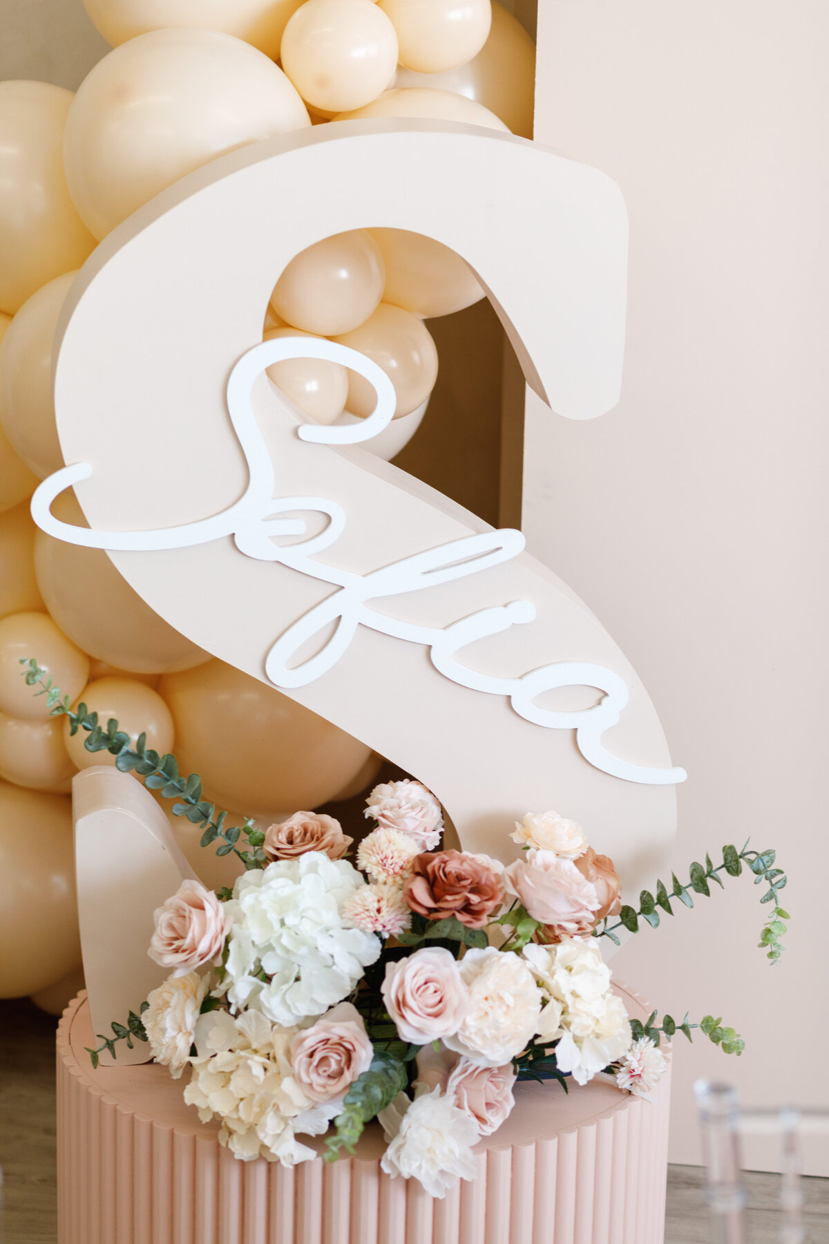 HeminiBrandSession_SherinaShantelleMontrealPhotographer449