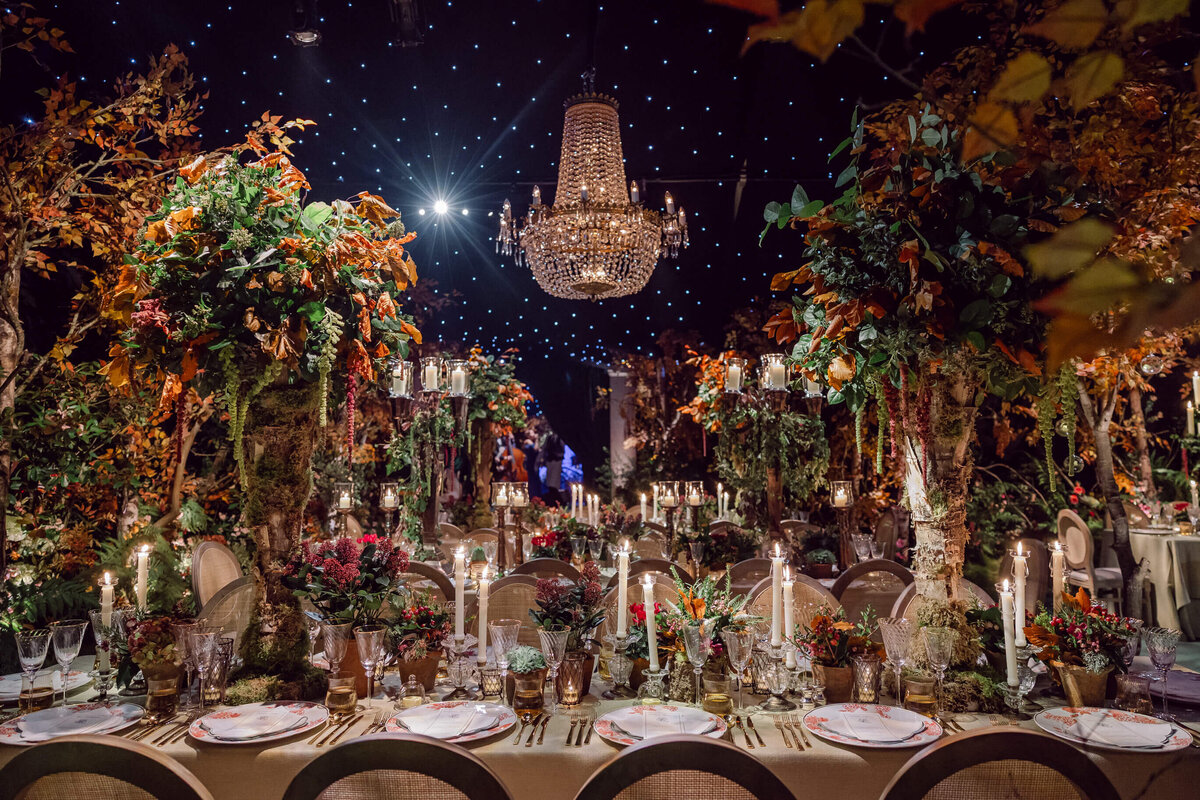 Hay Enchanted Forest, Rocket, LaraArnott, November 30, 2024, 242
