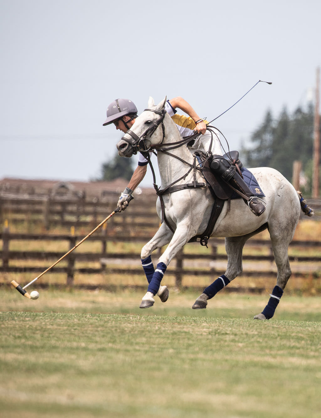 20240727_kya-photography-equestrian-photographer-bend-oregon_0003