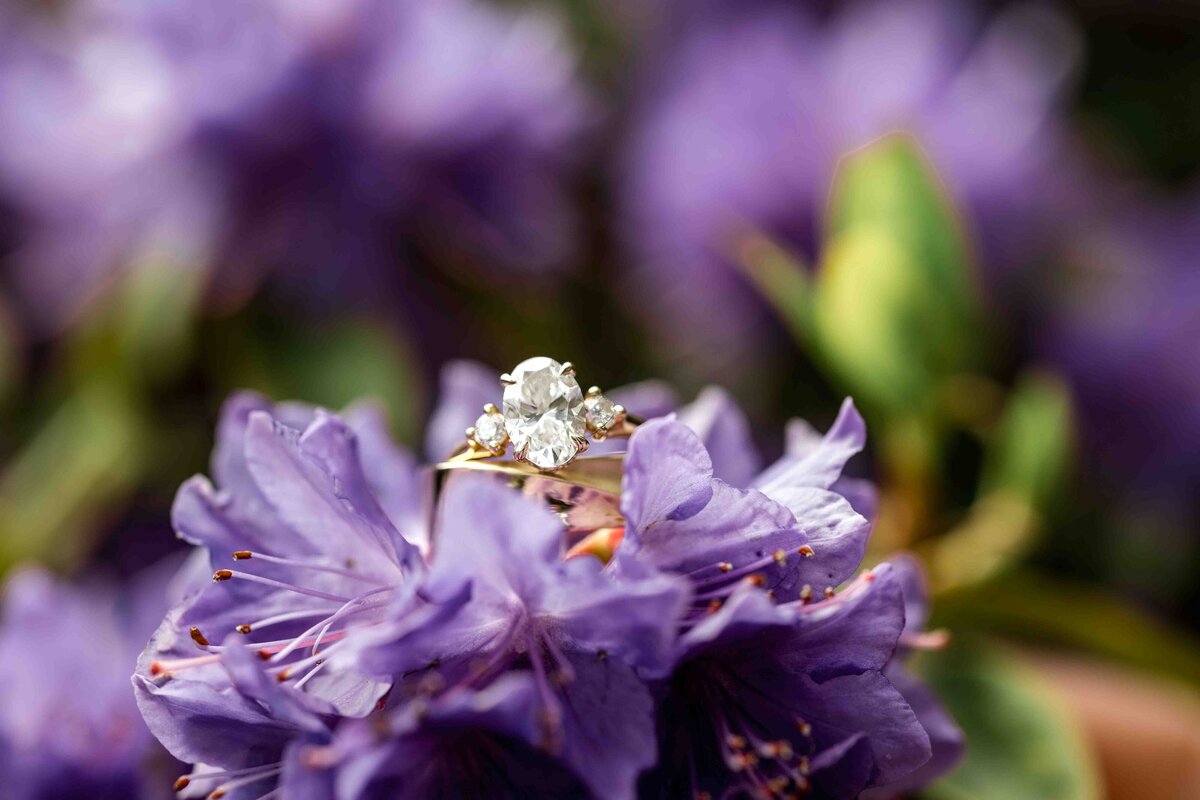 Elona_Shea_Photography_lake_Seattle_washington_kiana_lodge_wedding-15