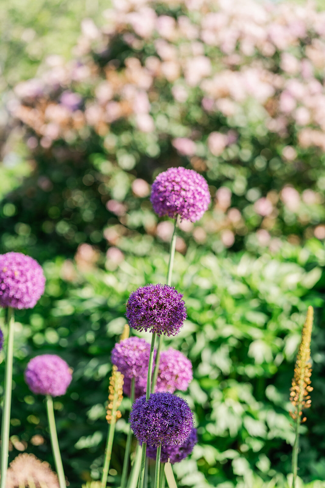 New-England-Elopement-Photographer-Jenna-Richmond156
