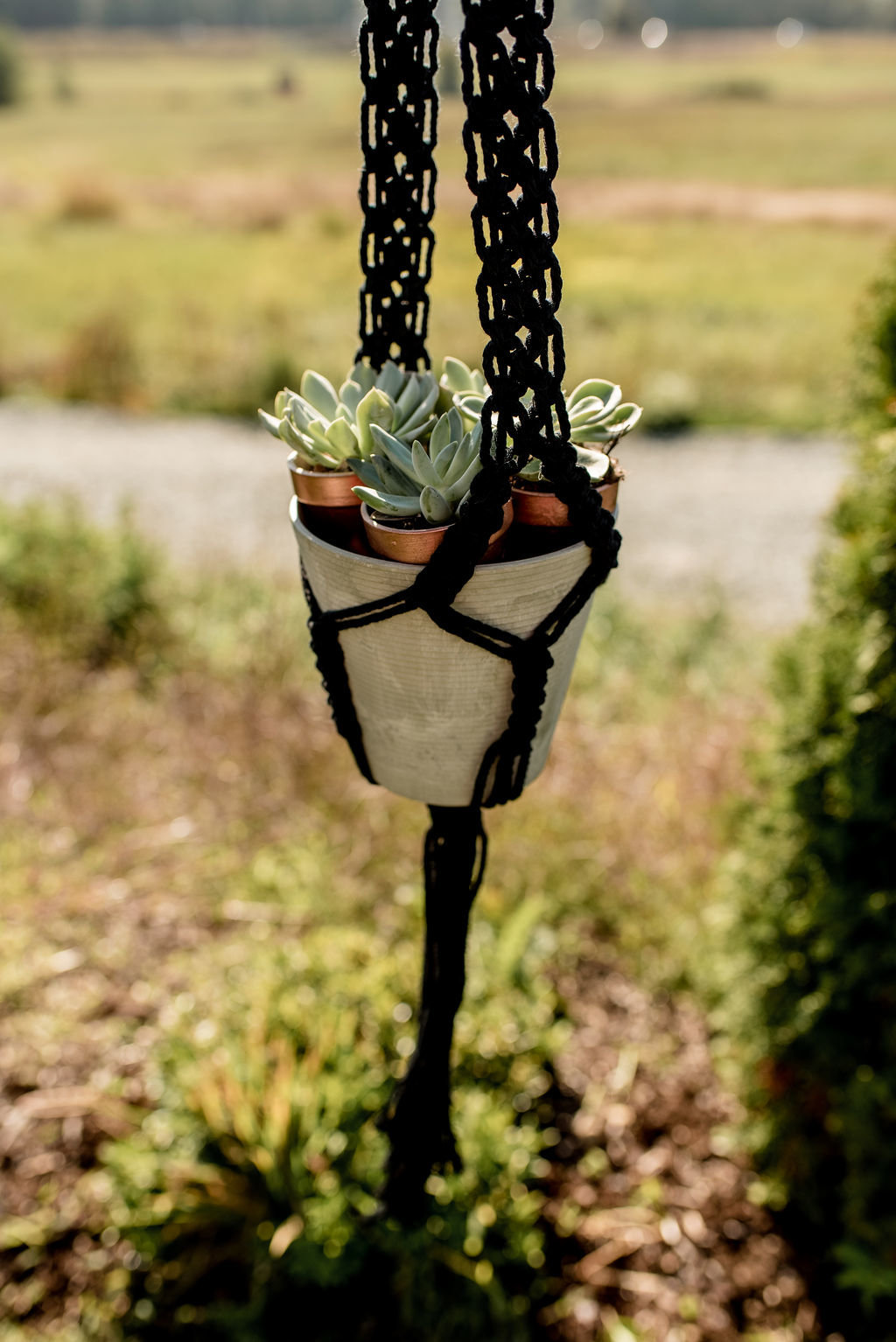 ModernDesertBohemianWedding--SkagitWeddingPhotographer--BertelsenWineryWeddingPhotography--Jeff+RebeccaPhotography(17of192)