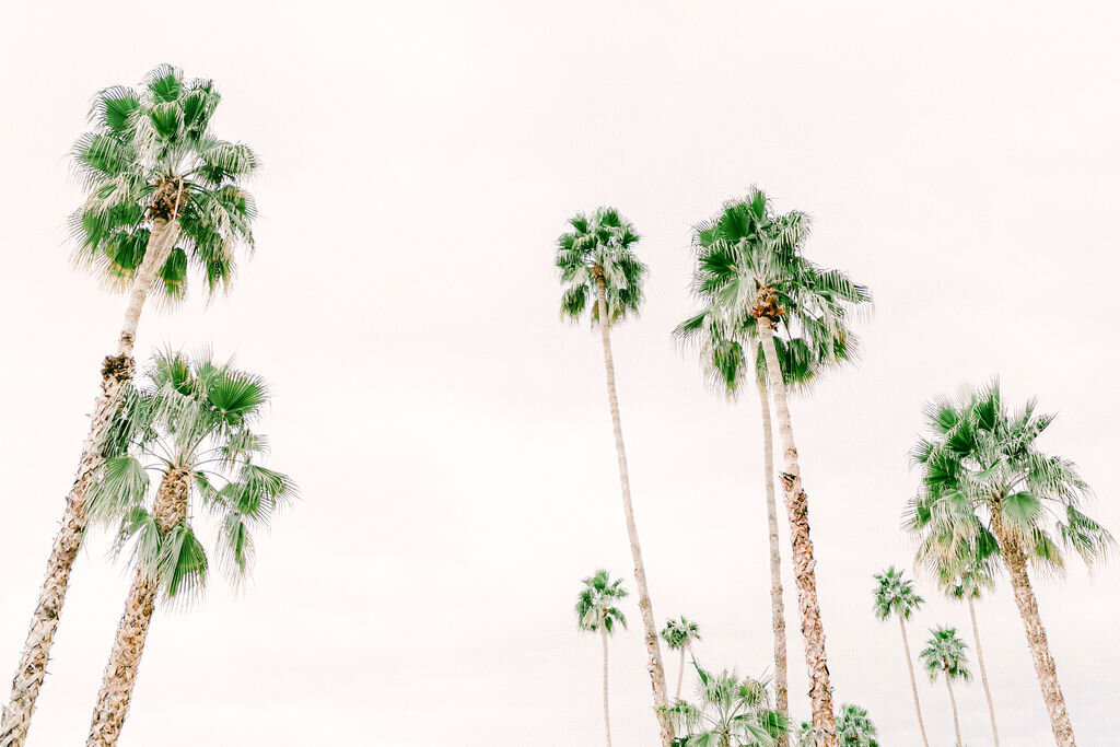 ChelseyBlackPhotographyLuxuryDestinationWeddingPhotographer-11-14