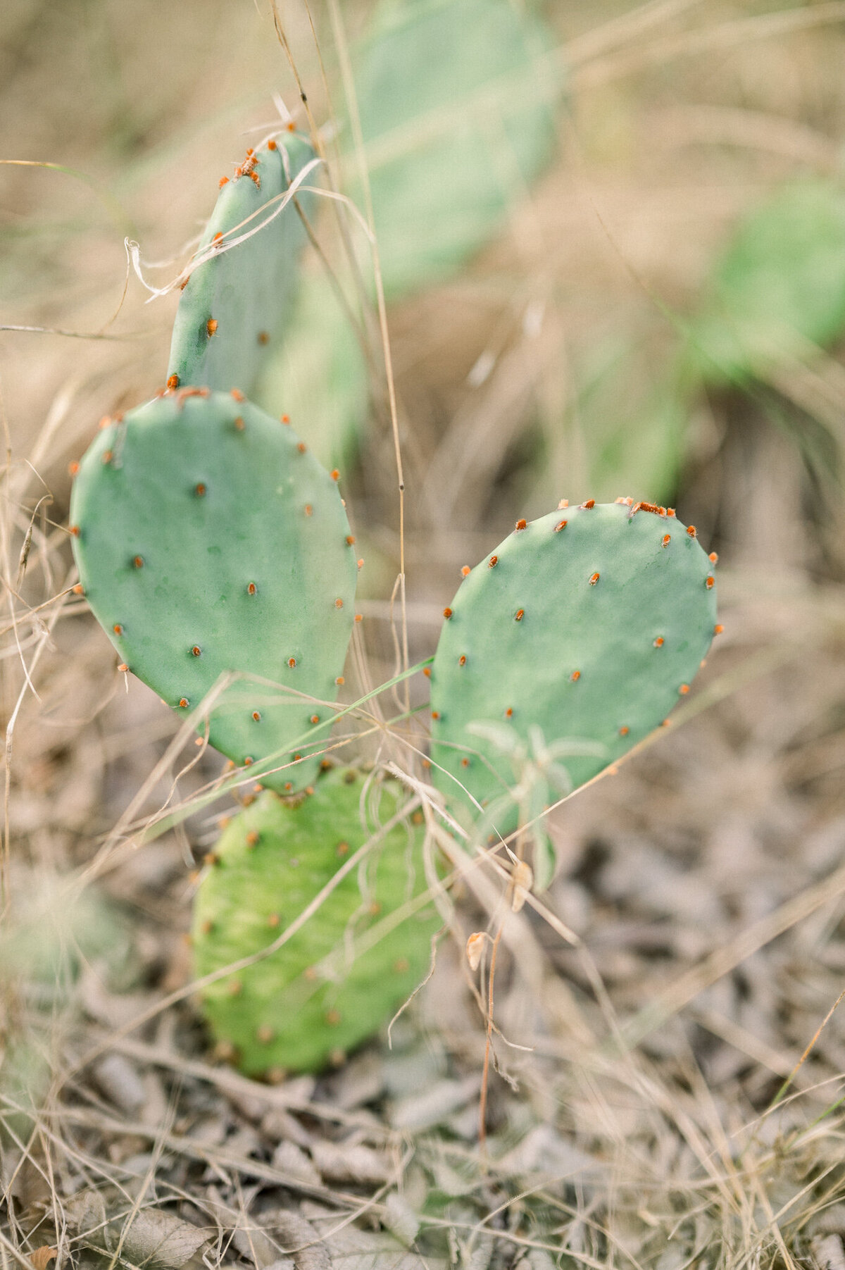 GCP_6357_2048px