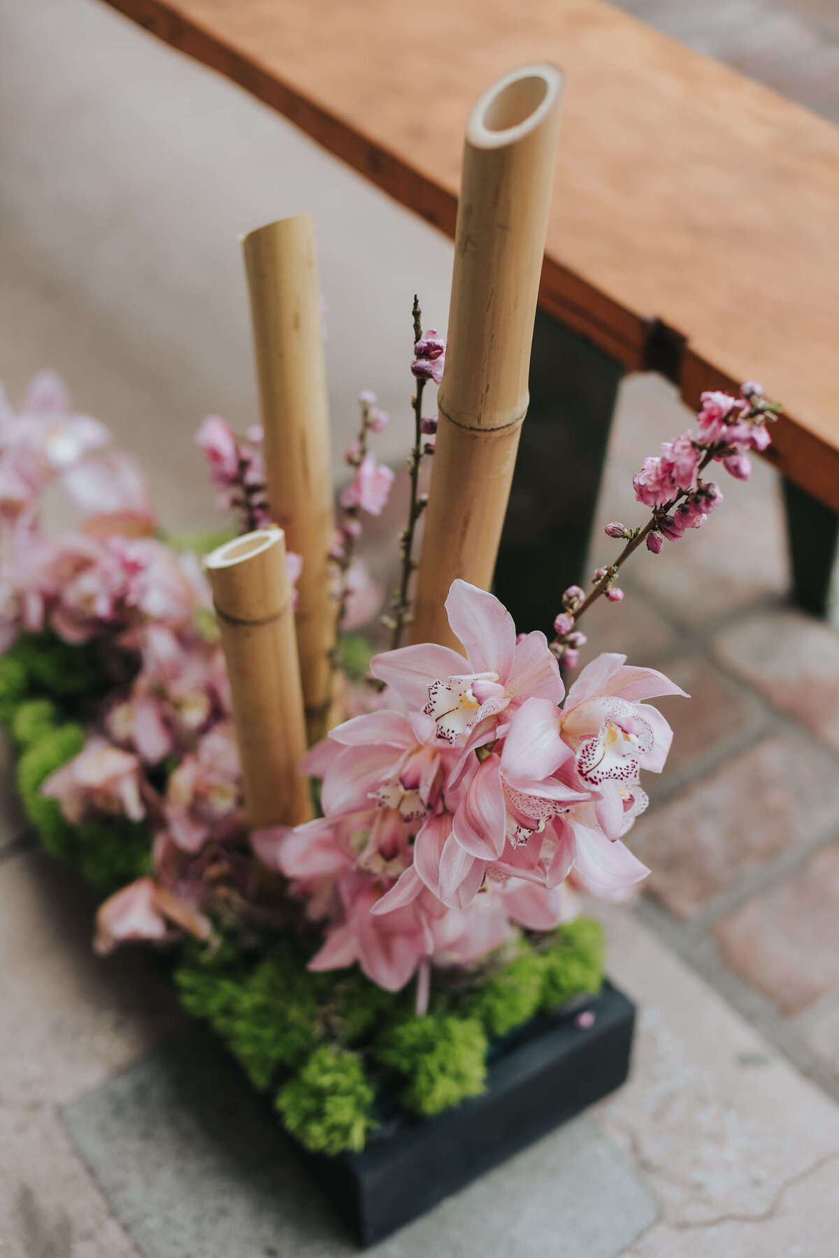 micale_wed_0943 (1)