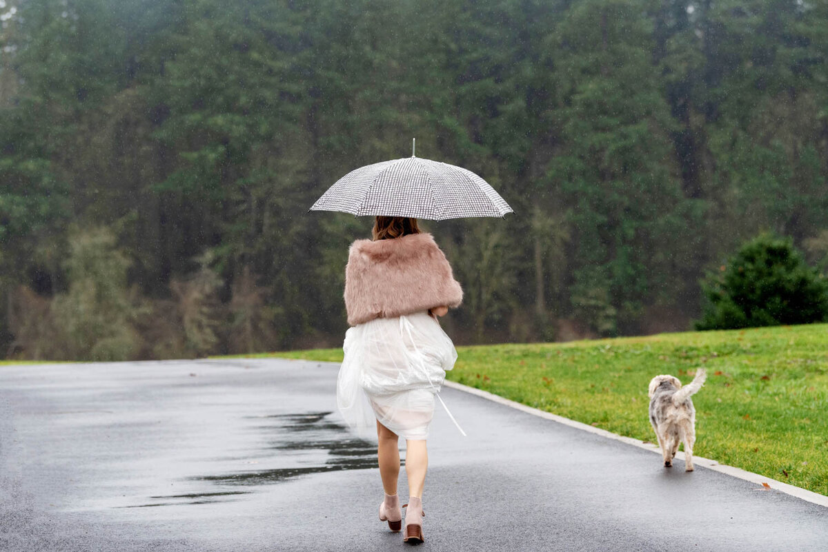 a dog follows beside a bride holding an umbrella walking away from the camera