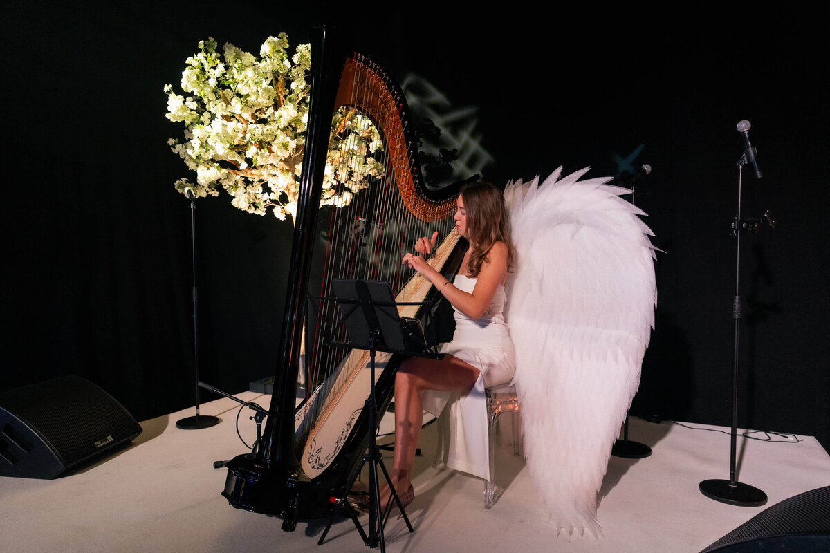 1 harpist-at-a-heaven-themed-party