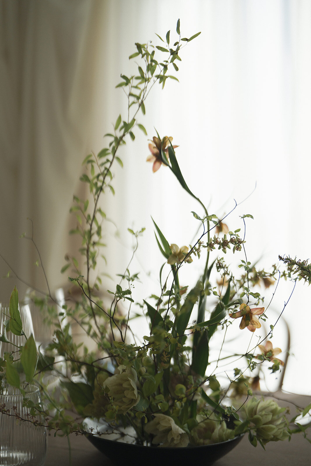 wildflower--233